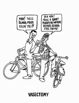 What happens in people before vasectomy